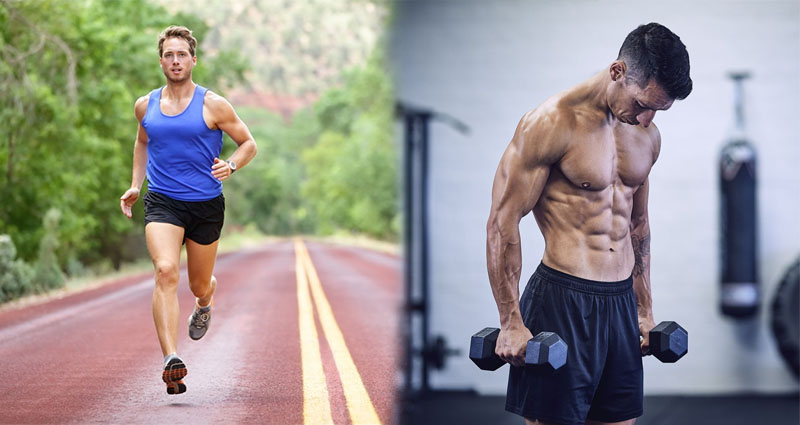 Difference Between Cardiovascular Endurance and Muscular Endurance