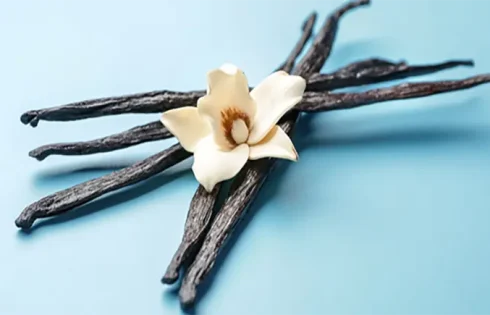 The Exquisite Quality of Indonesian Vanilla Pods: A Global Treasure