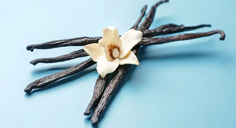 The Exquisite Quality of Indonesian Vanilla Pods: A Global Treasure